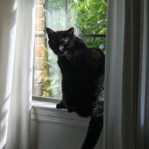 Meet your Posher, Zoe